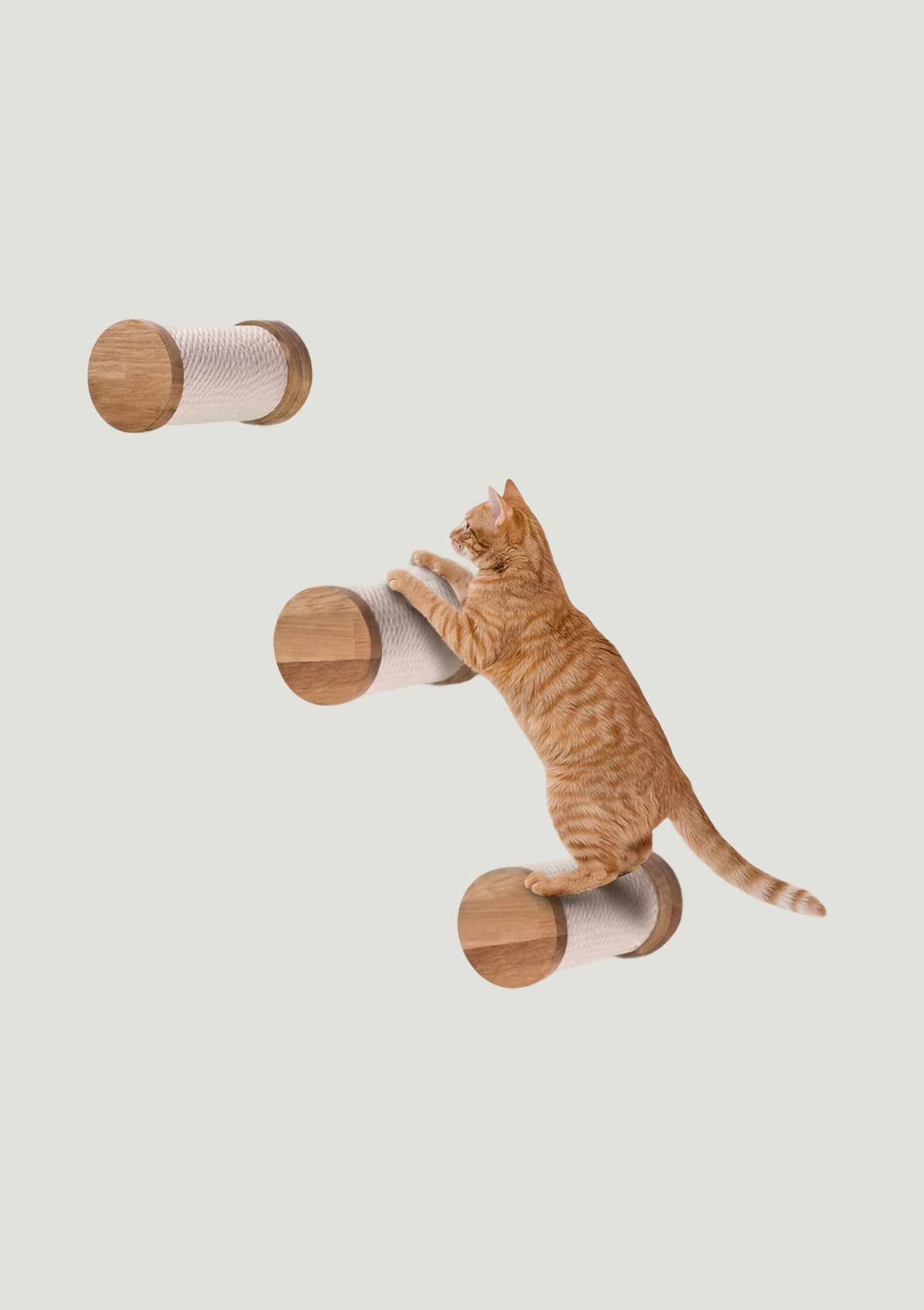 Miutti 3 Step