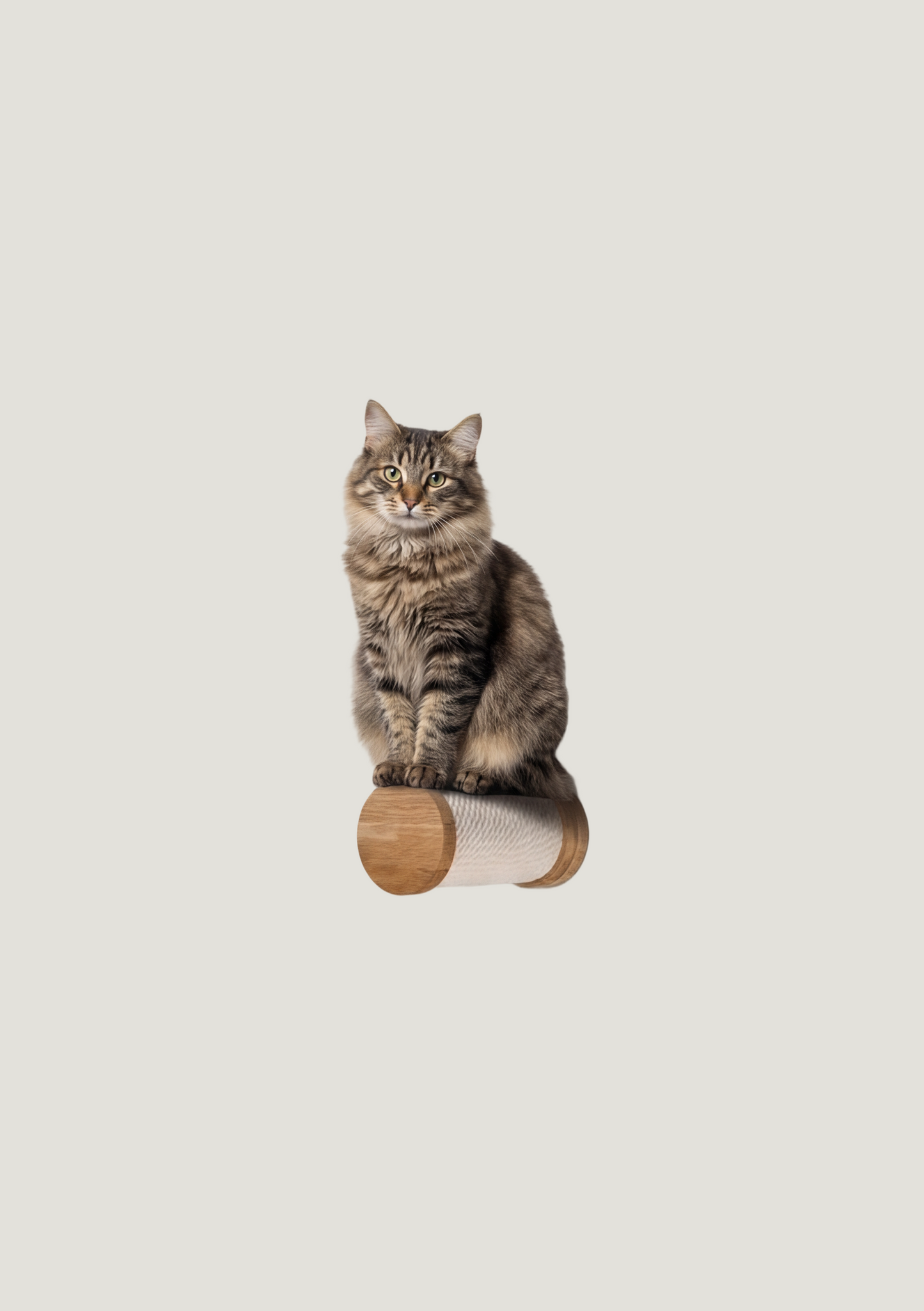 Miutti Step