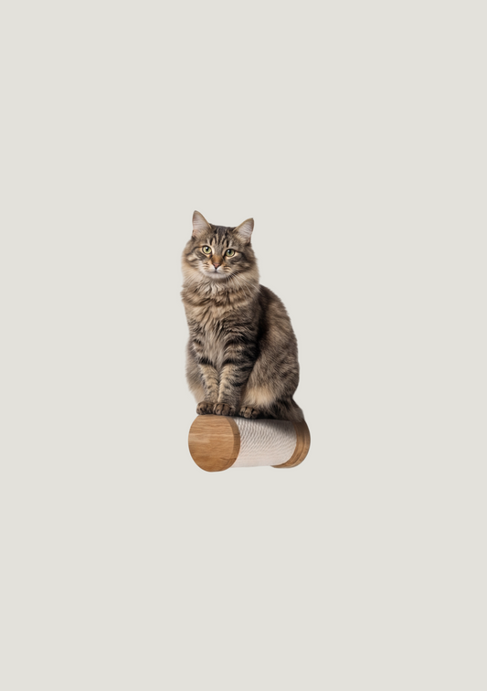 Miutti Step
